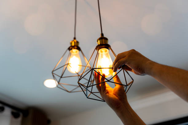 Best Local Electrician Companies  in Rainbow Lakes Estates, FL